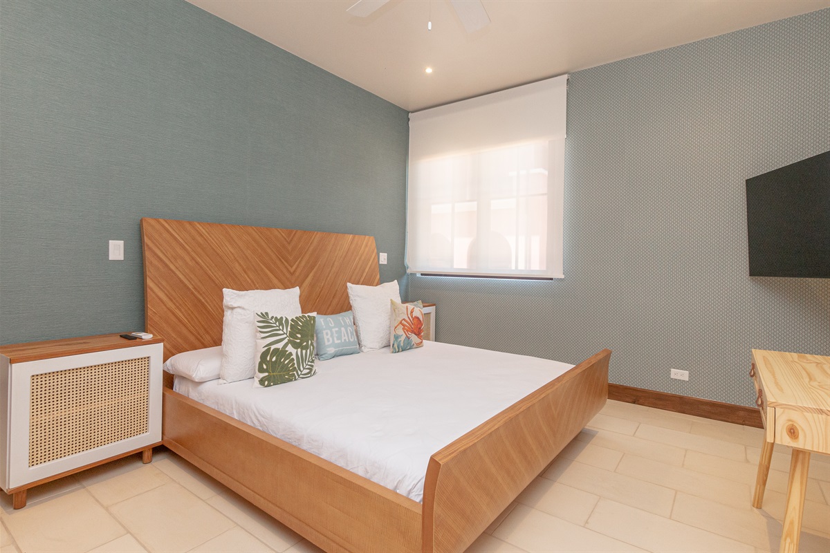 Left wing secondary king suite located on the main level of the home, great of those who are unable to use stairs well. This room offers the ability to be on the primary level of the home with no stairs required
