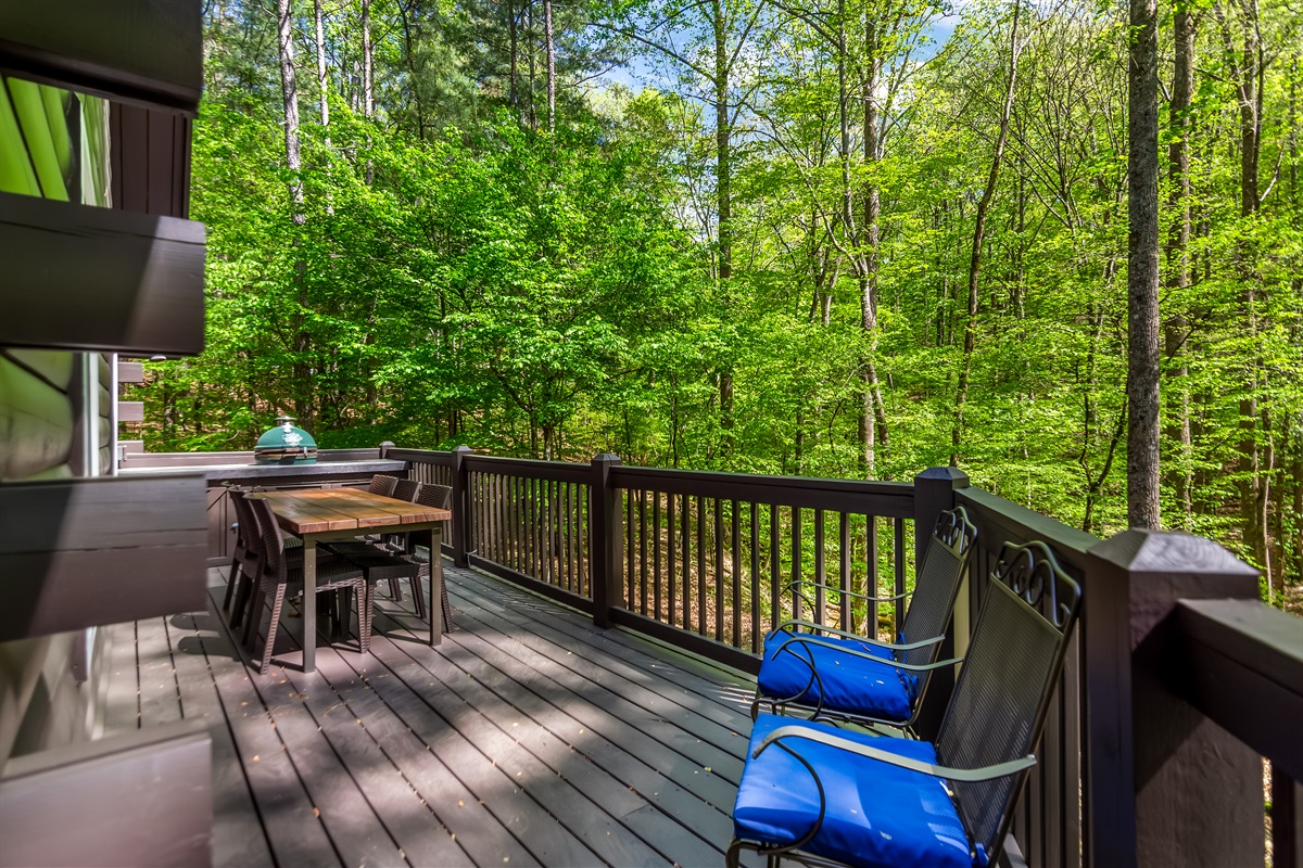 Deck dining in the afternoon or evening! Great place for takeout with wine and watch the deer visit with views of the water.