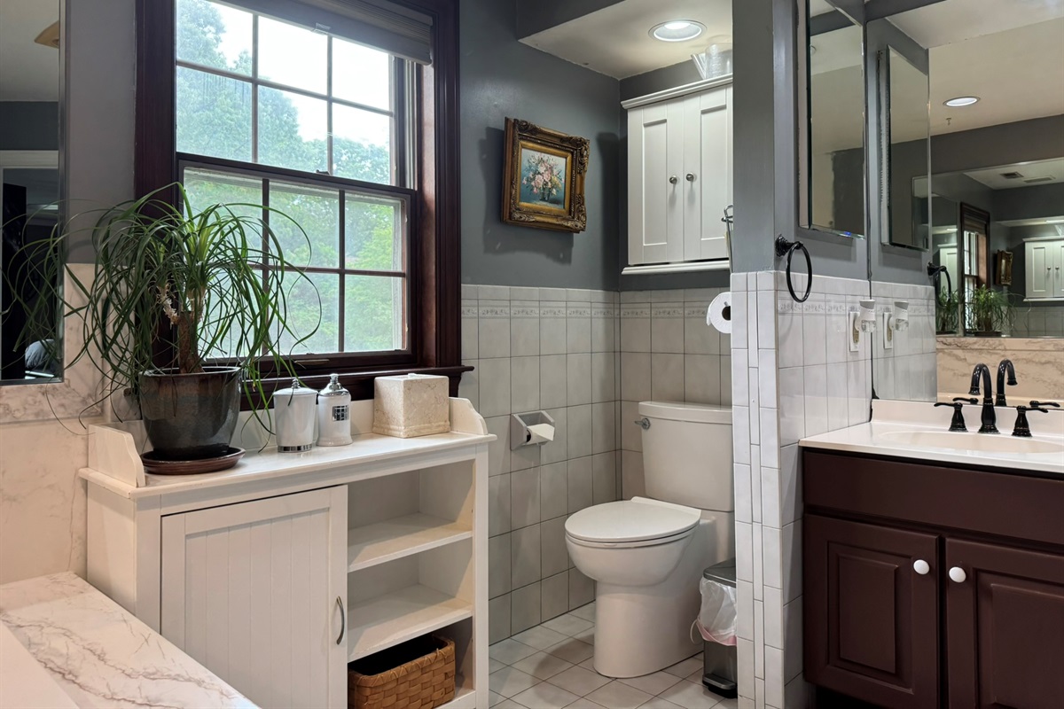 Master Bathroom toilet and window