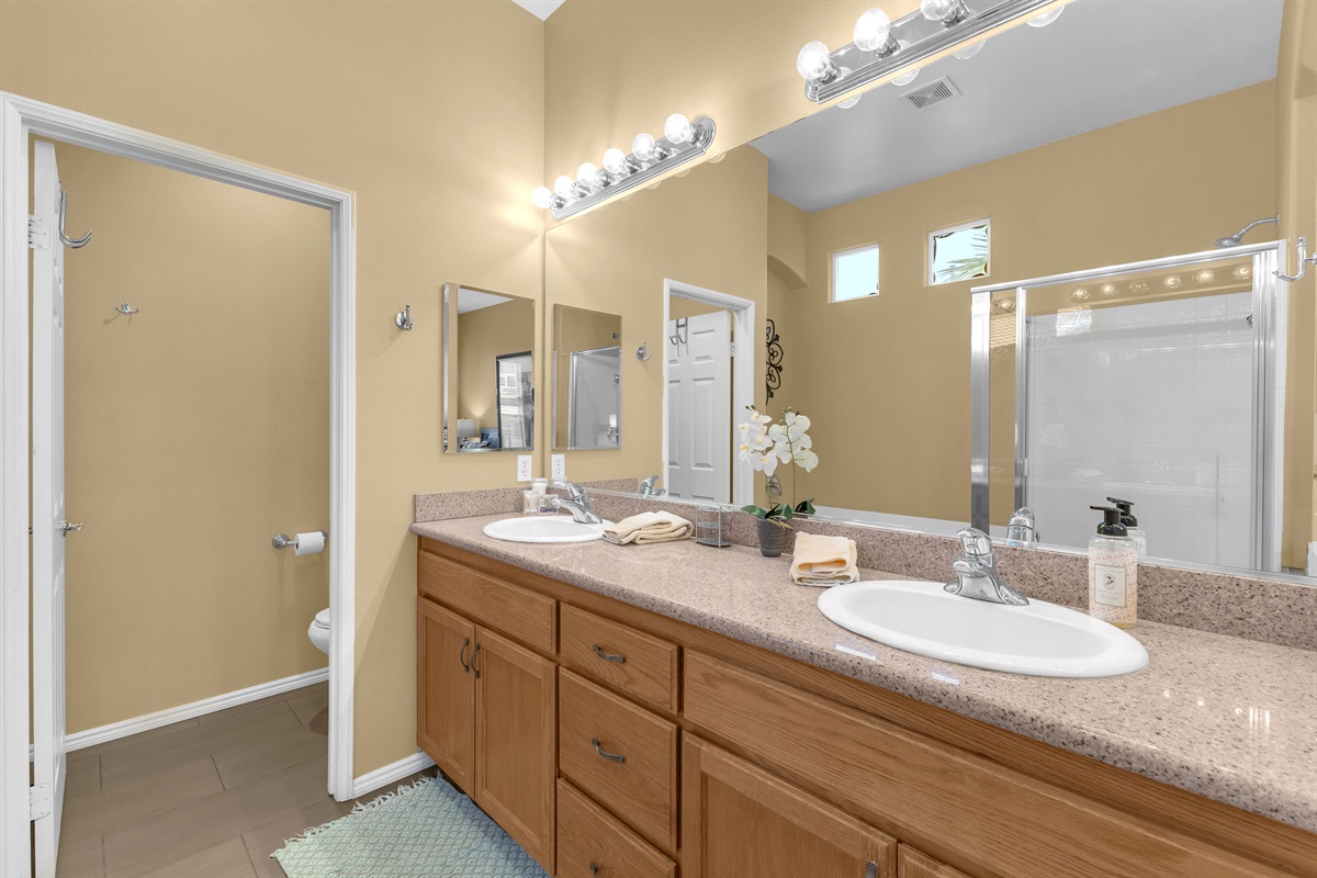 Dual Vanity Sinks