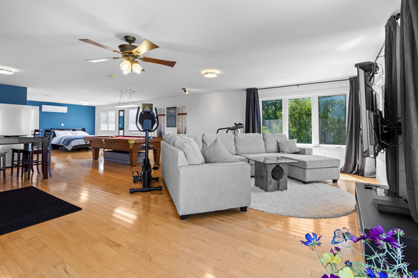 living area - large sectional