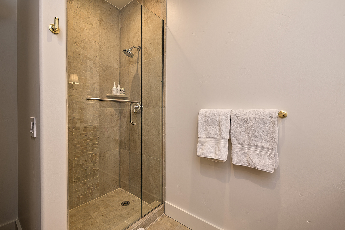 BR 3- Guest Bath Standing shower