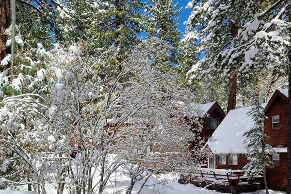 Wake up to snow out your windows in the morning!