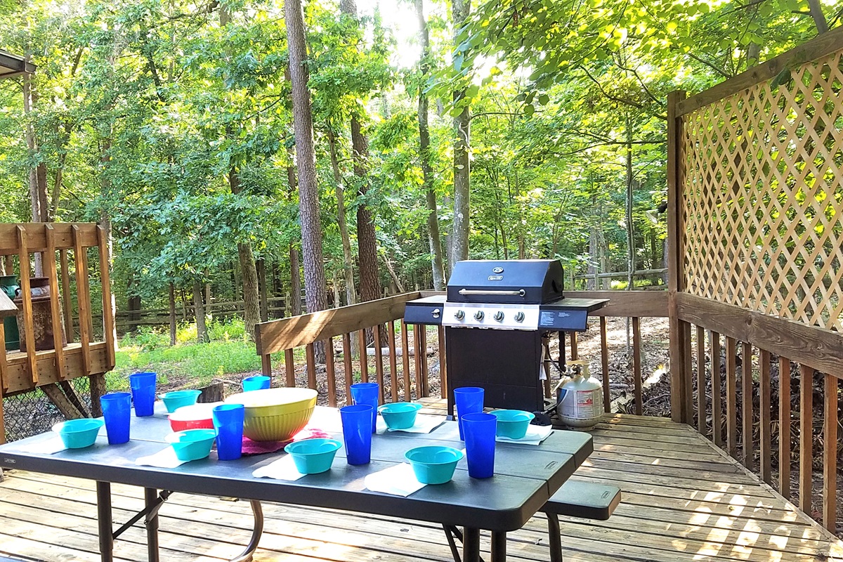 Outdoor grill and table, other view