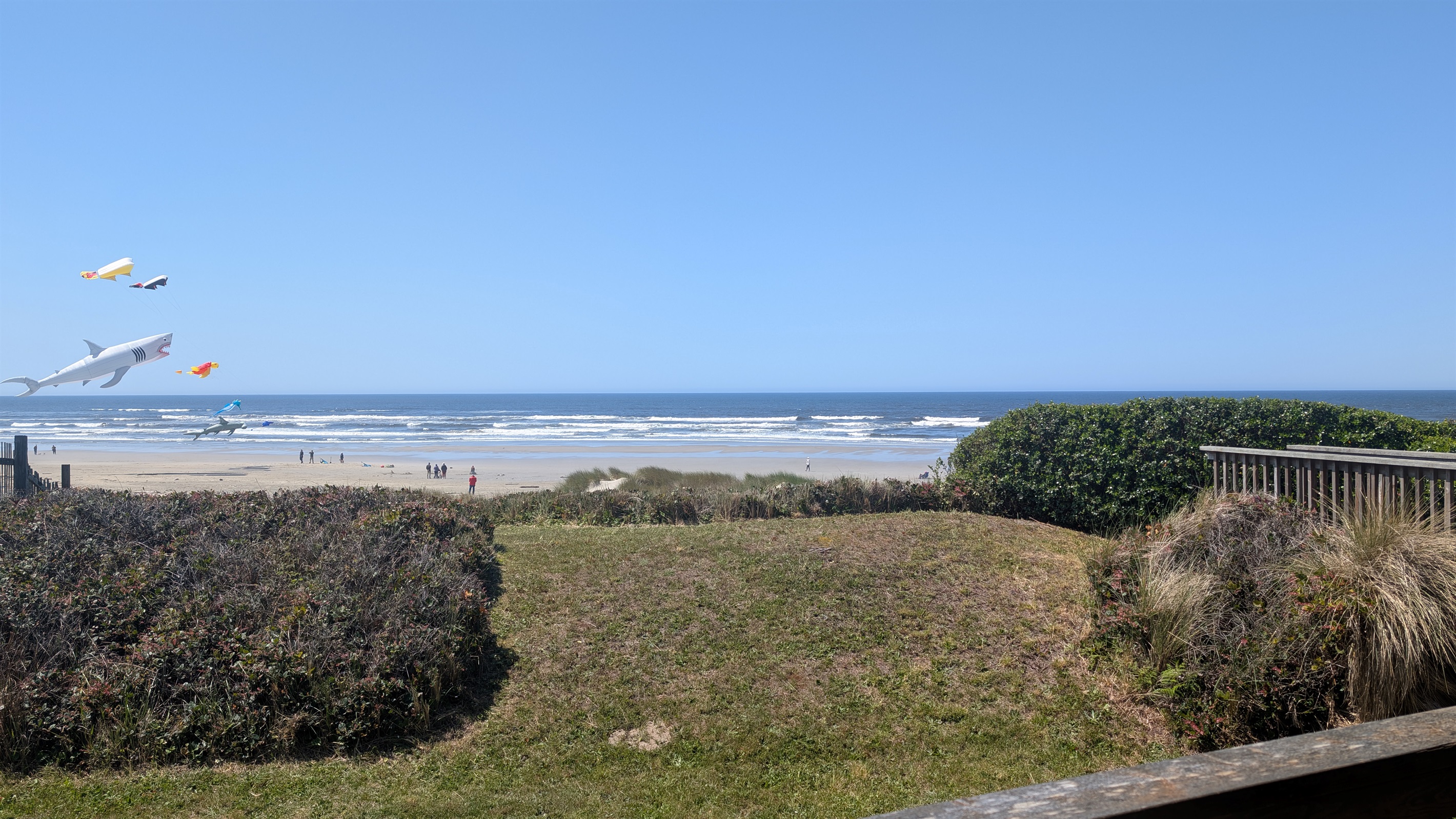 kite festival at Oceans Edge 
