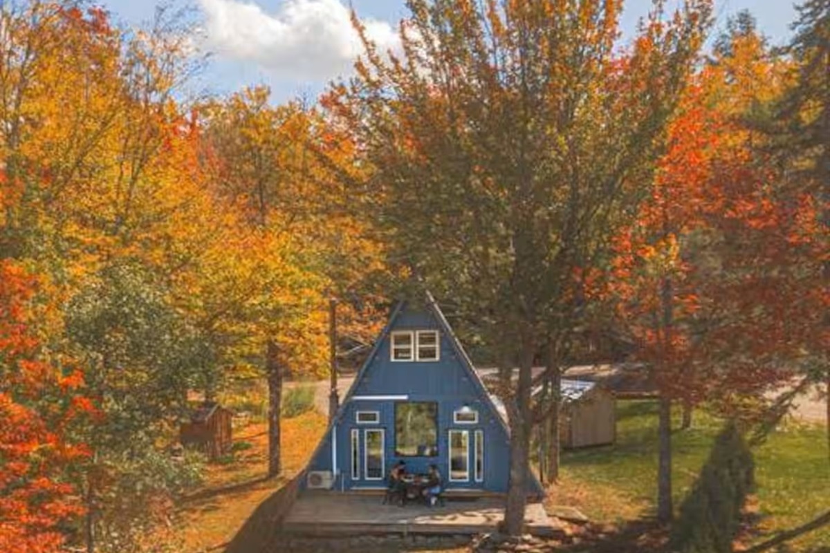Alpine A-Frame is in a recreational neighborhood, there are several other cabins on the block, including one adjacent to our property on the other side of the row of trees in this picture.