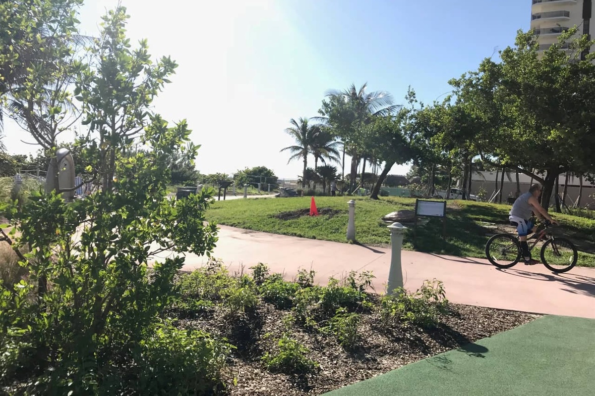 Miami Beach Boardwalk from Allison Park to South Pointe, past world-famous Lummus Park and Ocean Drive, no street crossings, great for biking, running, or walking the dog (complimentary bikes provided)