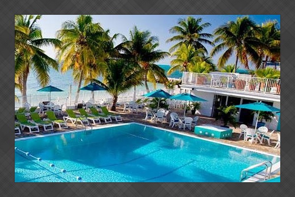 The Cabana Club Olympic Size Pool