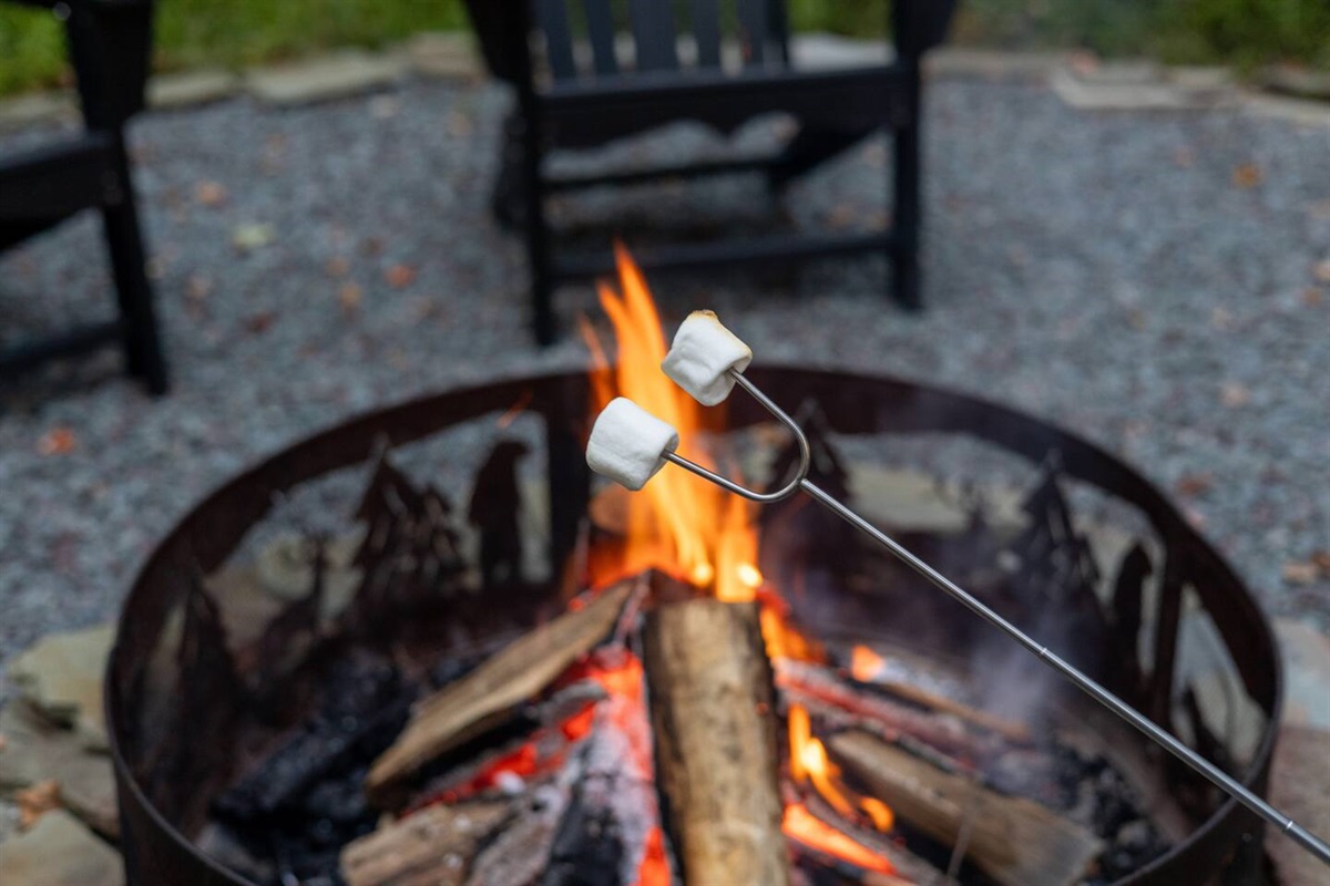 Come Roast Some Marshmallows on the Fire