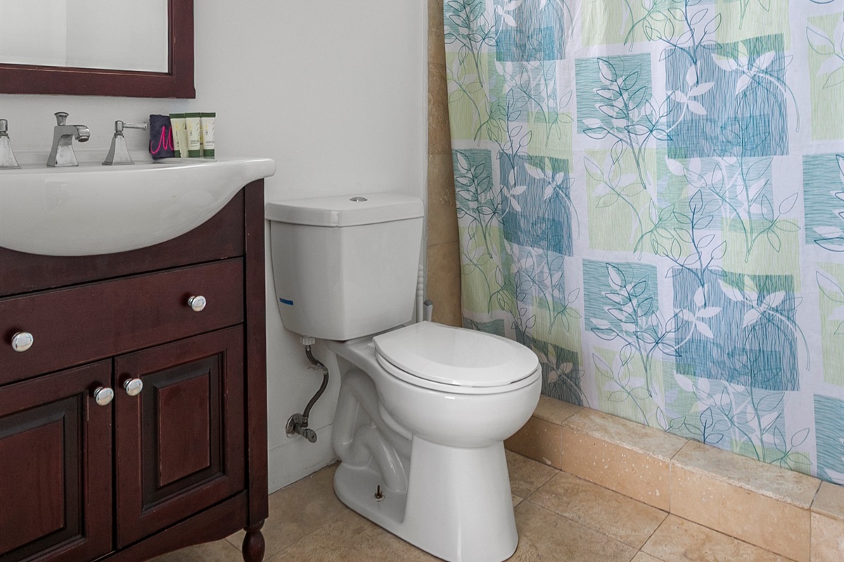Guest Suite en-suite bath with walk-in shower