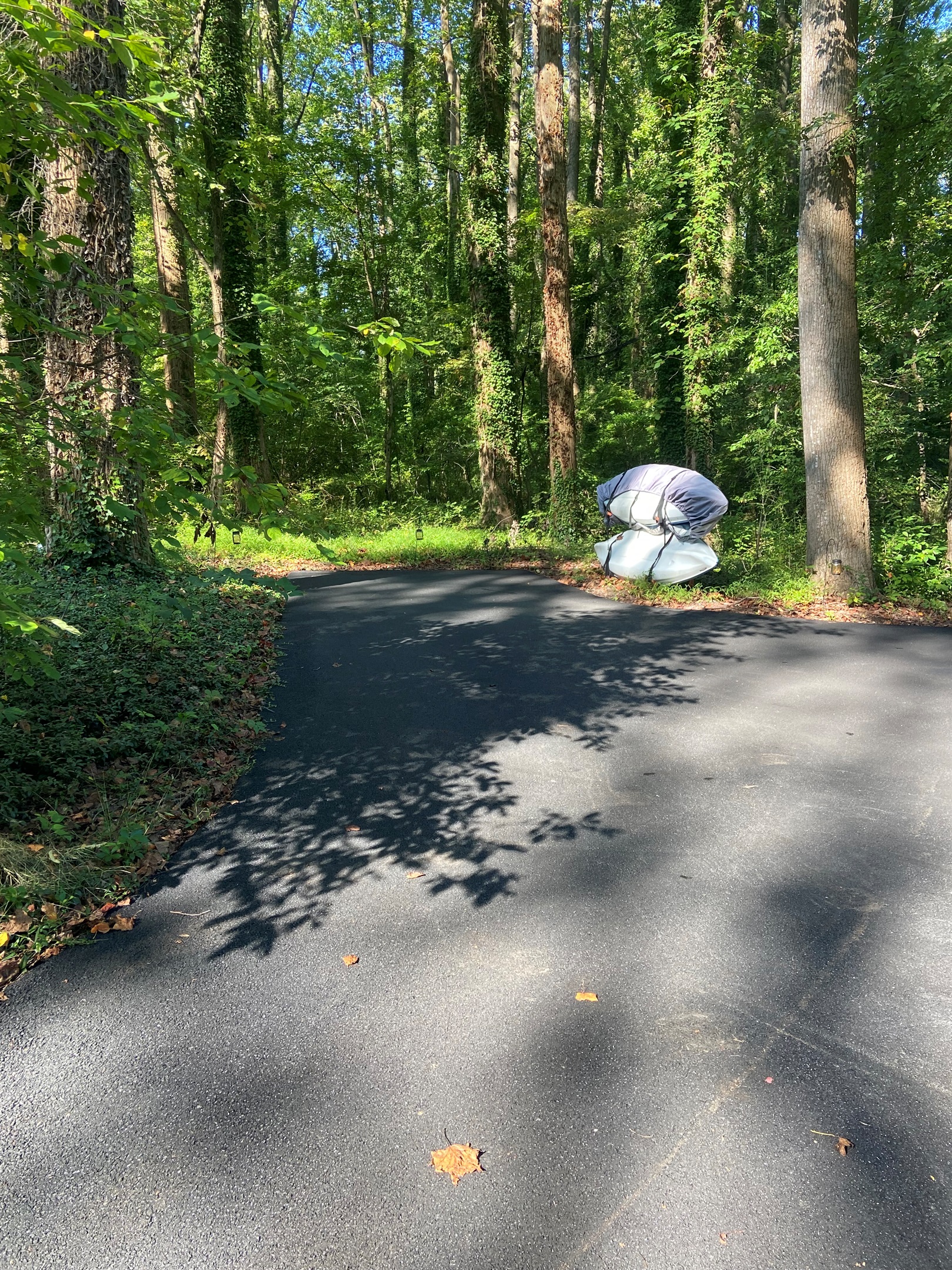 Guests have a dedicated parking space