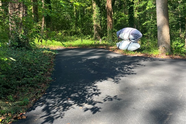 Guests have a dedicated parking space