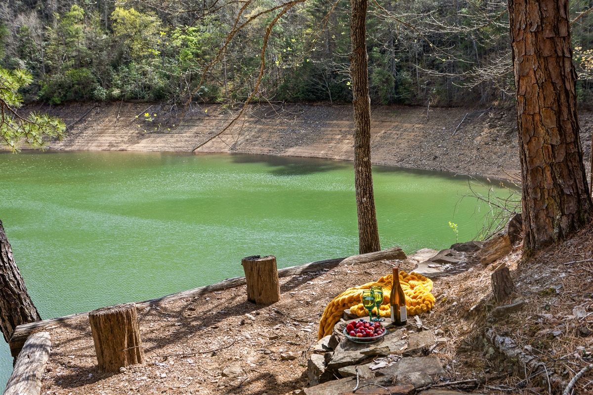 Lakeside Retreat: Savor wine and fresh fruit by the shimmering green waters in nature's embrace!