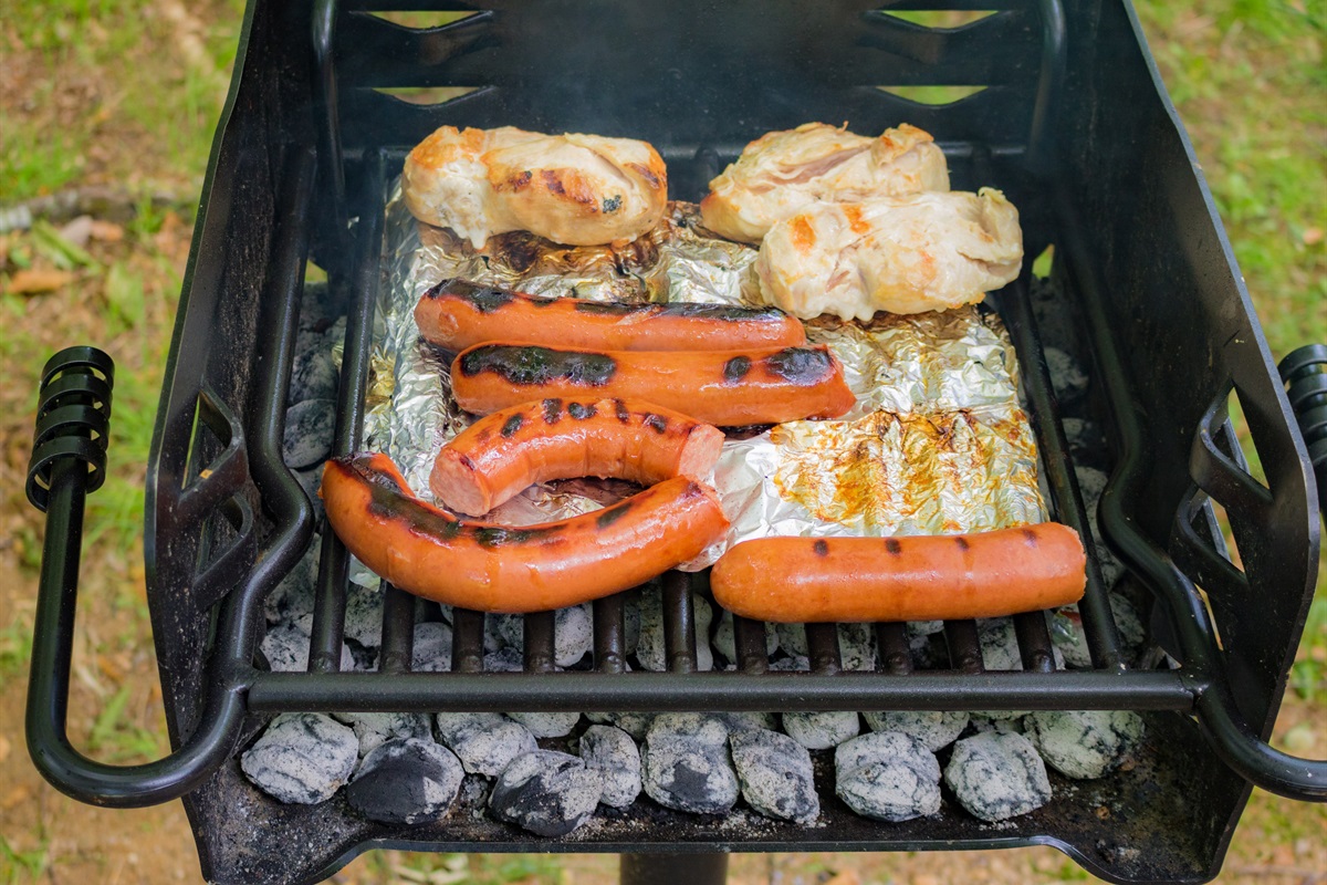 Park Style Grill at the cabin