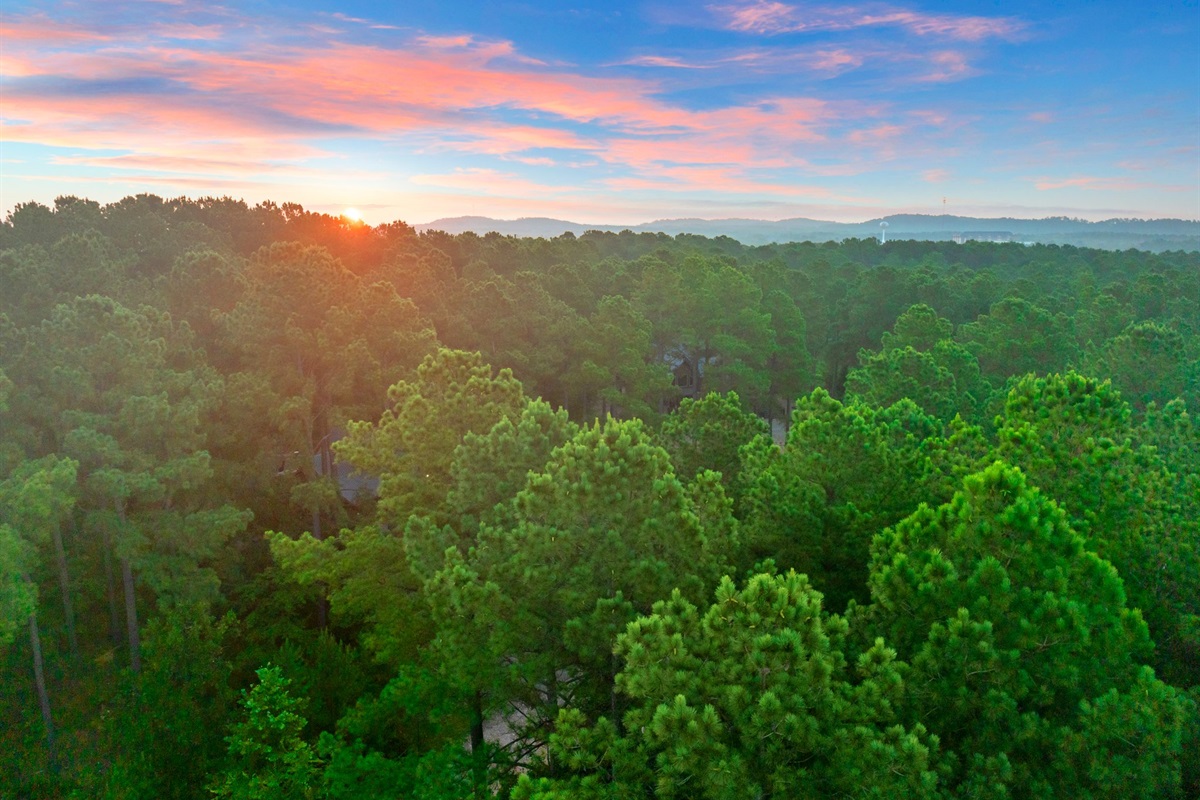 Scenic View: Wake up to stunning sunrises over lush pines in your serene escapade!