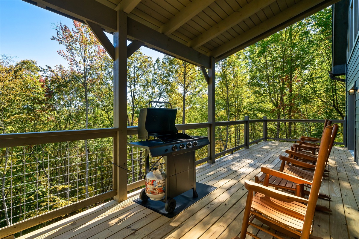 Gas Grill Ready For Mountain Cookouts