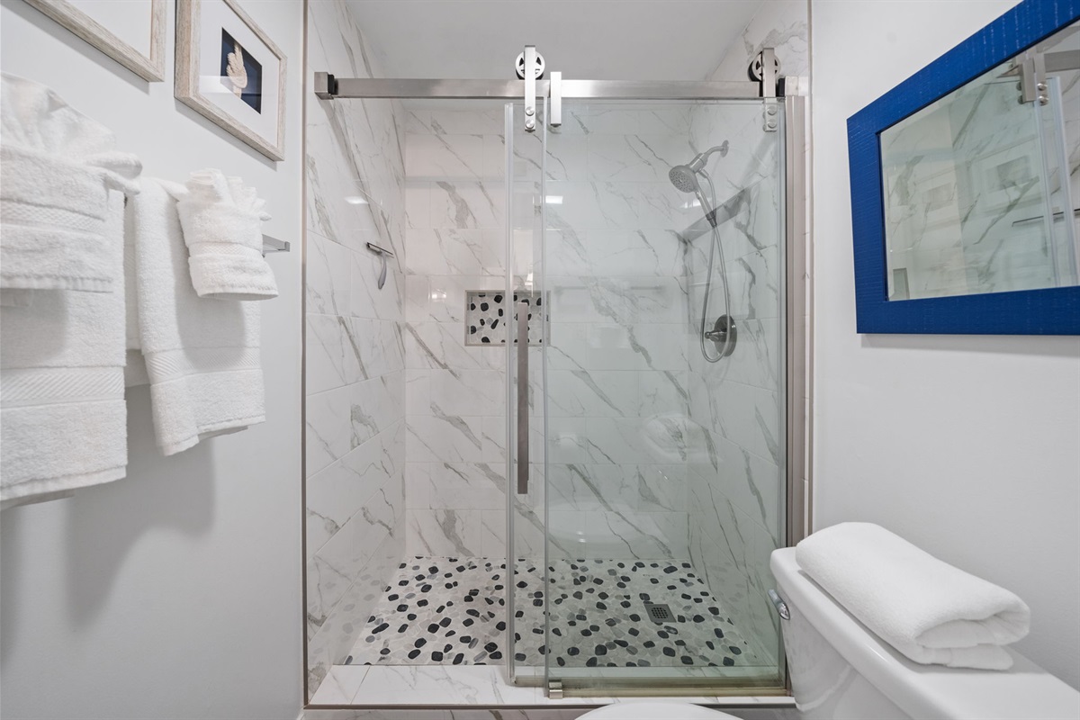 Master ensuite bathroom with completely upgraded walk-in shower