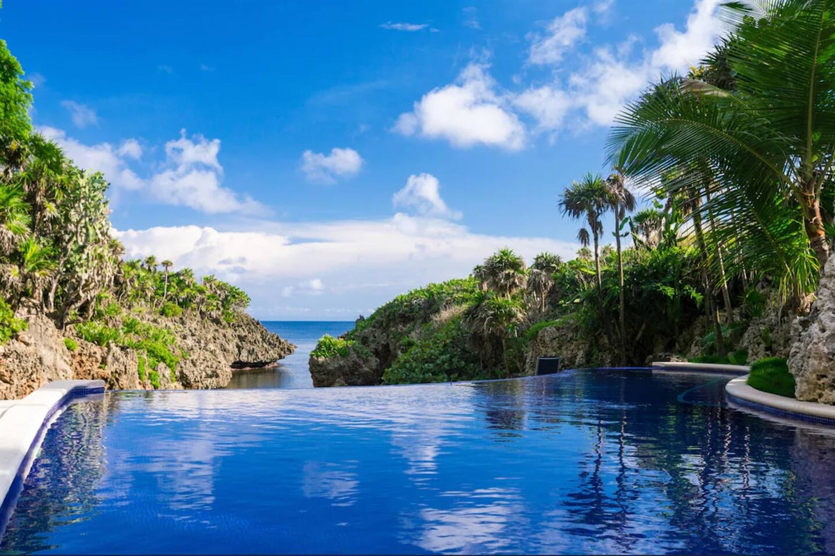 Infinity Pool