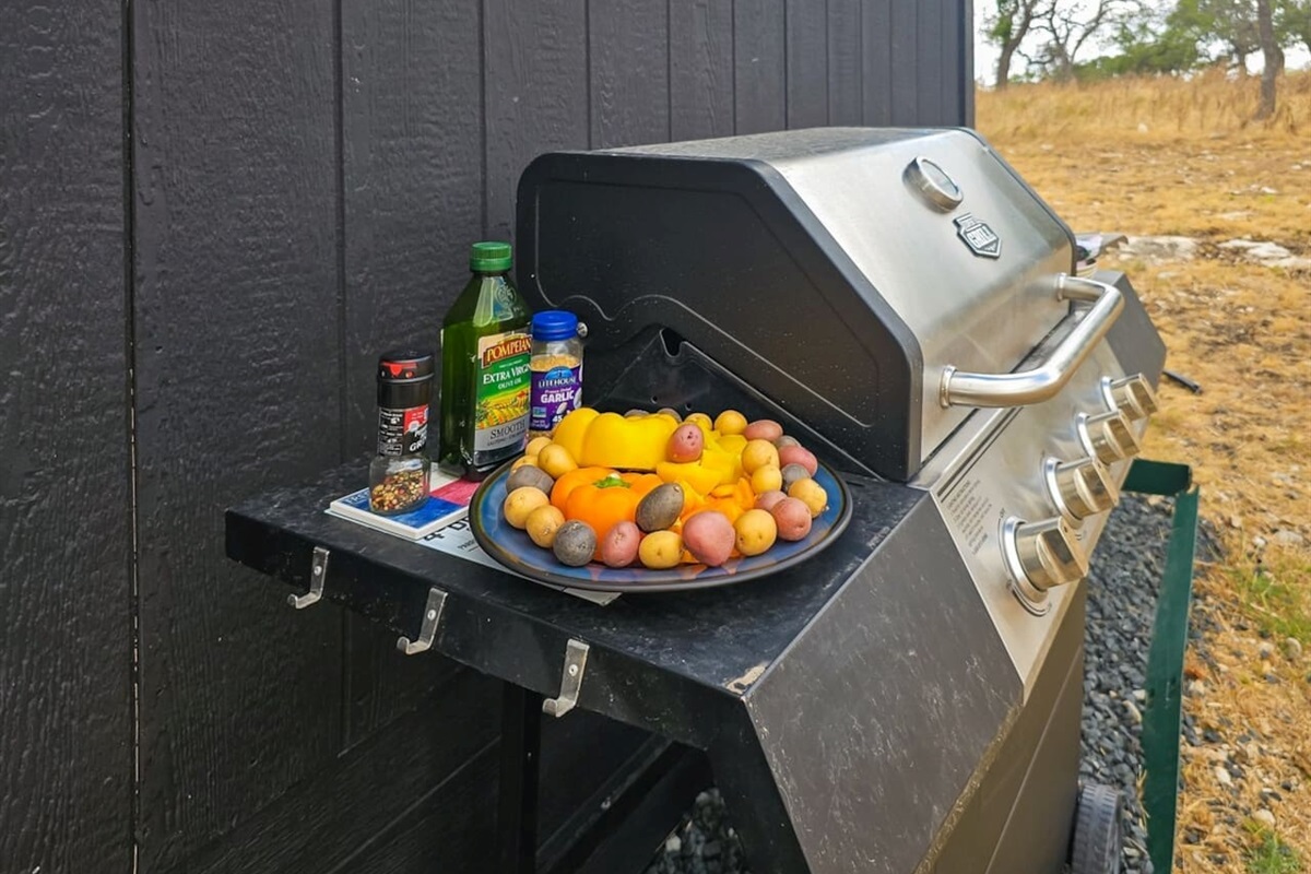 Get ready for a classic campfire experience with all the fixings for s'mores under the Texas sky.