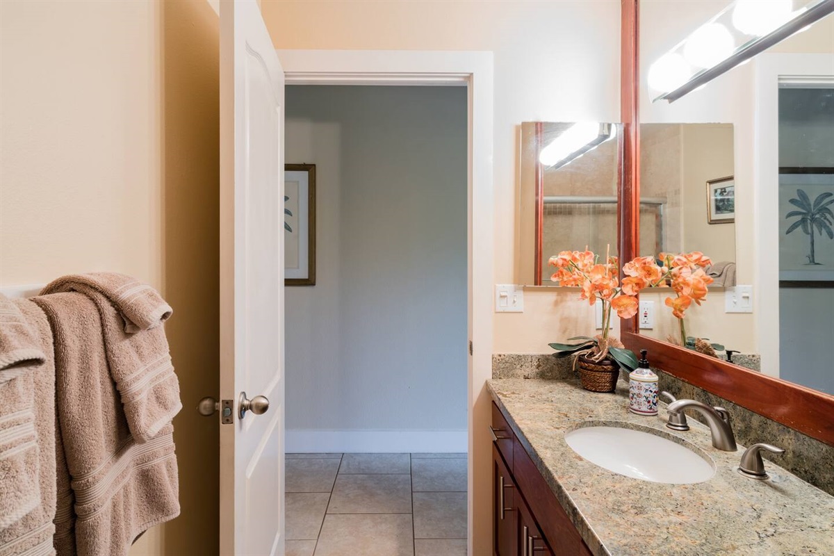 bathroom 3 - shared upstairs