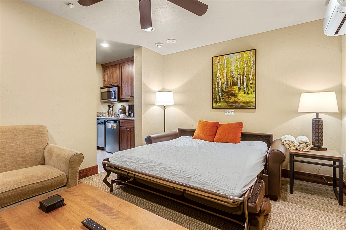 Lock-off Suite sleeper sofa