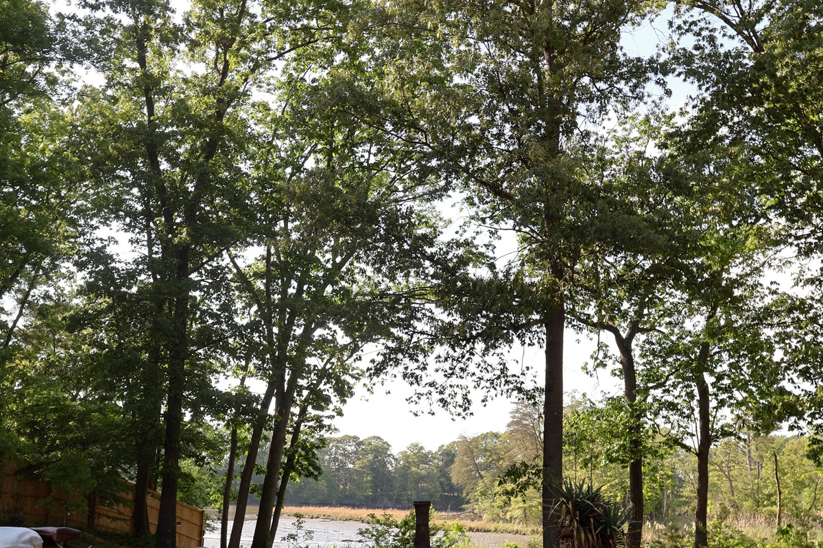 Hot tub view - looking out over the pool and on to the deep water creek