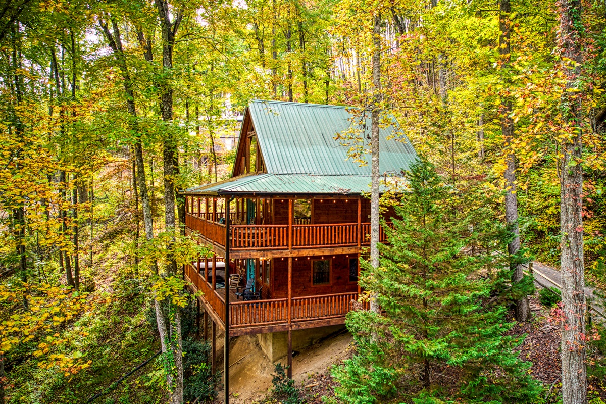 Charming cabin retreat surrounded by nature