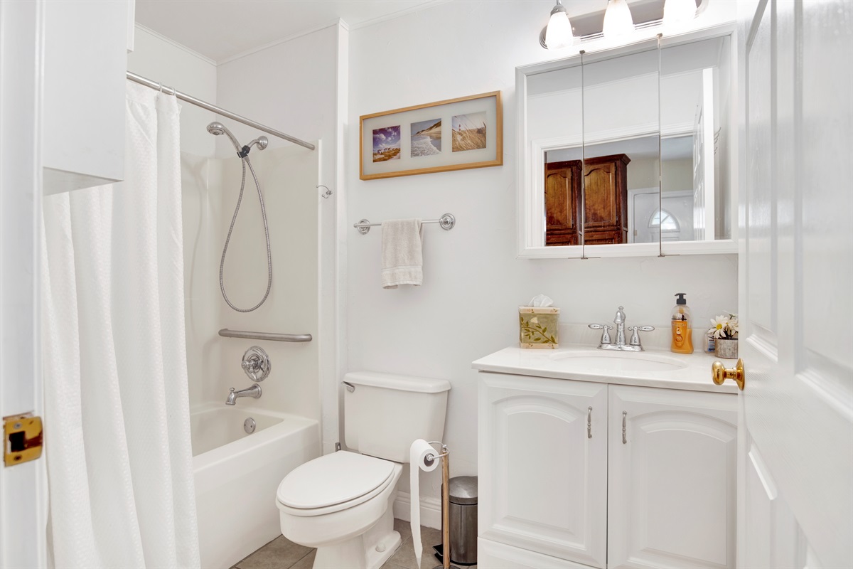 Guest Bathroom-Tub/shower combo