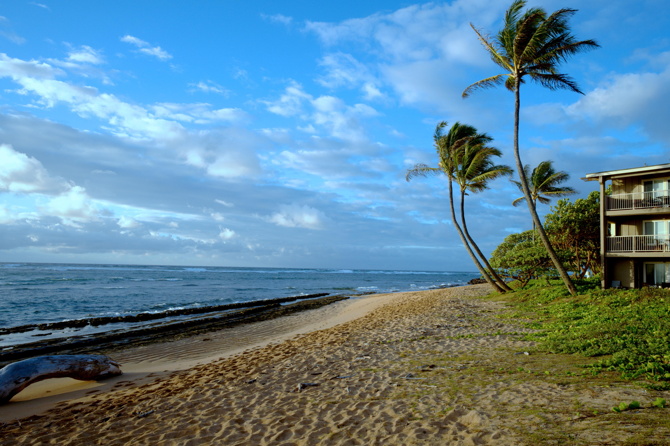 Welcome to Sea and Sky Condo in Kapa'a! Our oceanfront condo with direct access to beach on property.