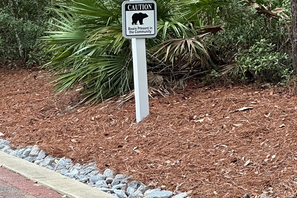 There are bears and other wildlife in our area