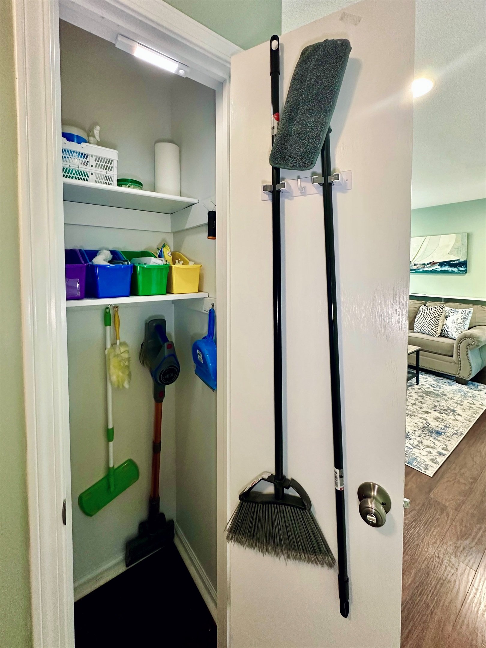Dedicated hallway closet fully stocked with cleaning and maintenance supplies. Includes broom, dustpan, mop, vacuum, organized bins with surface cleaners, disinfectants, additional mop and dust pads, and other household essentials.