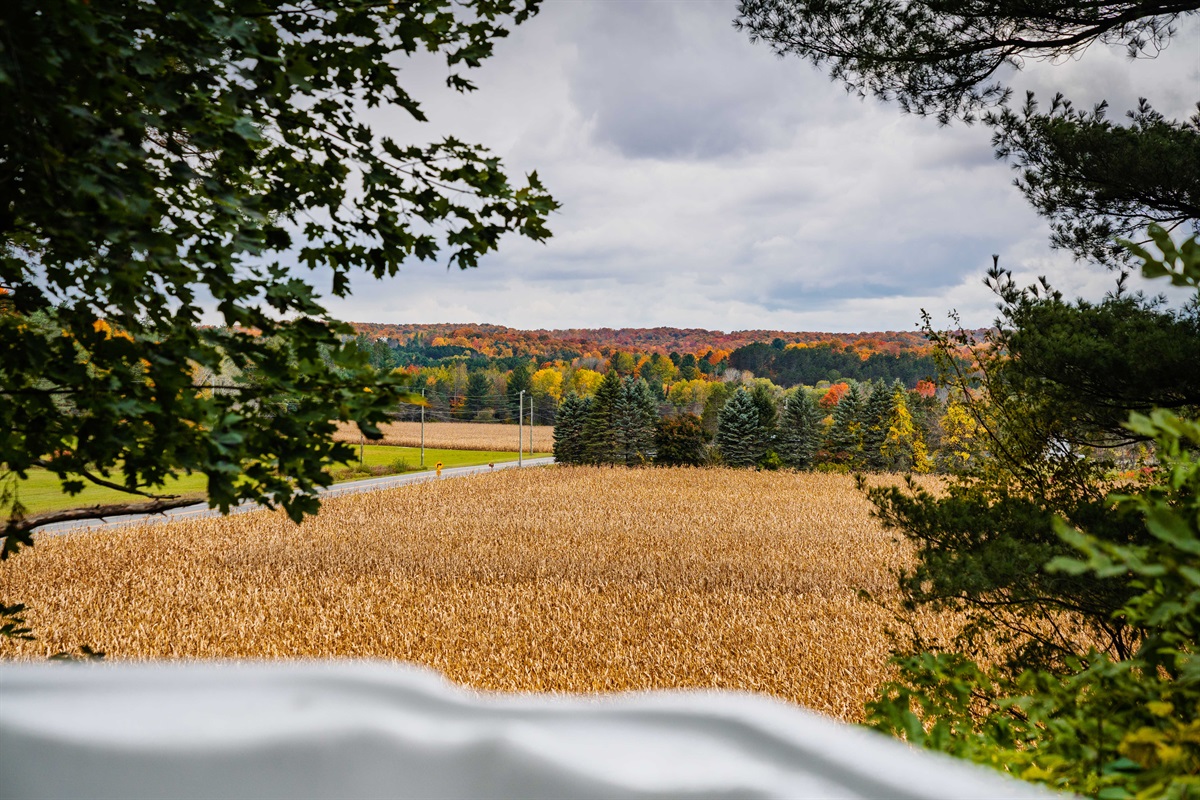 Enjoy the views of the surrounding picturesque Leelanau farm and Sugar Loaf Mountain as you unwind in the warm embrace of the hot tub as the sunset casts its glow all around. A perfect end to a day of adventure, surrounded by nature's beauty.