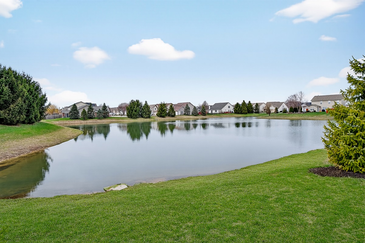 Neighborhood Pond