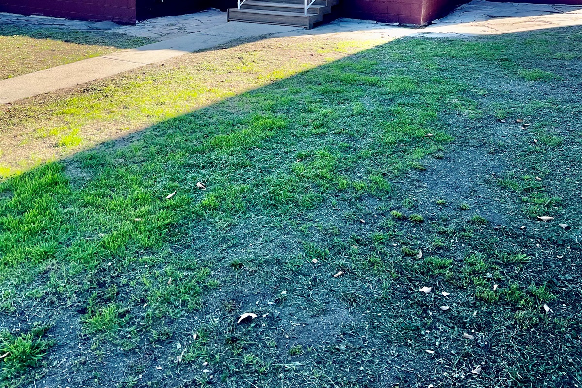 Step into your beautifully remodeled sanctuary, where every detail inside has been thoughtfully designed for your comfort and enjoyment. While our expansive yard is still a work in progress, it offers a peaceful retreat with plenty of space to relax