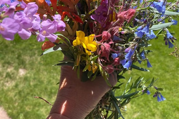 Bouquet of wildflowers from the land.