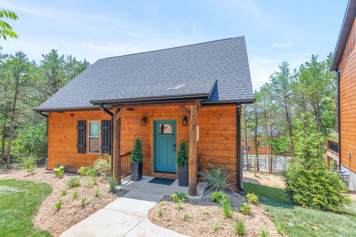 Welcome to On Cloud Pine!