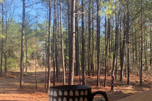 Enjoy your morning coffee on the deck, listening to the music of nature.