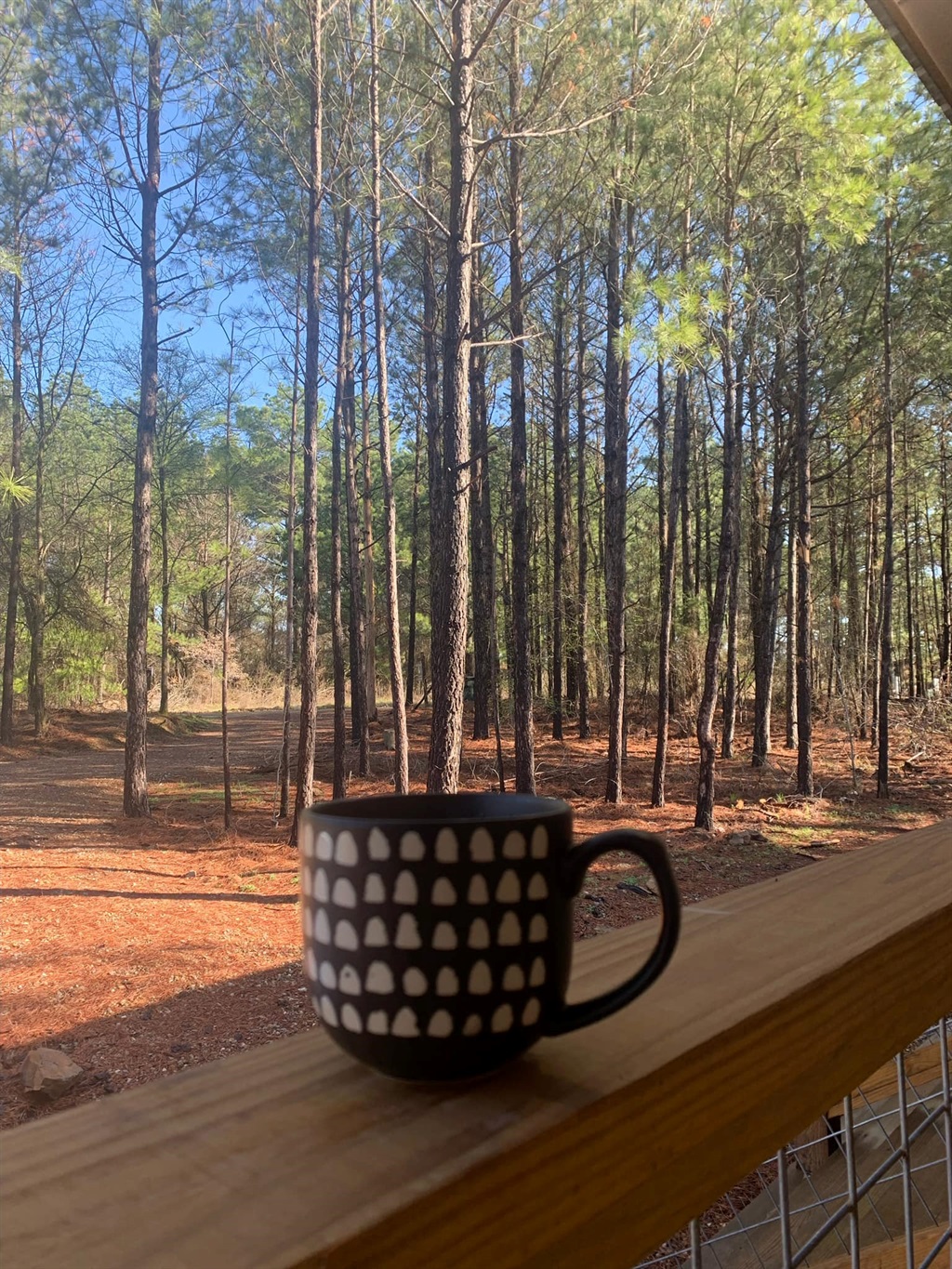Enjoy your morning coffee on the deck, listening to the music of nature.