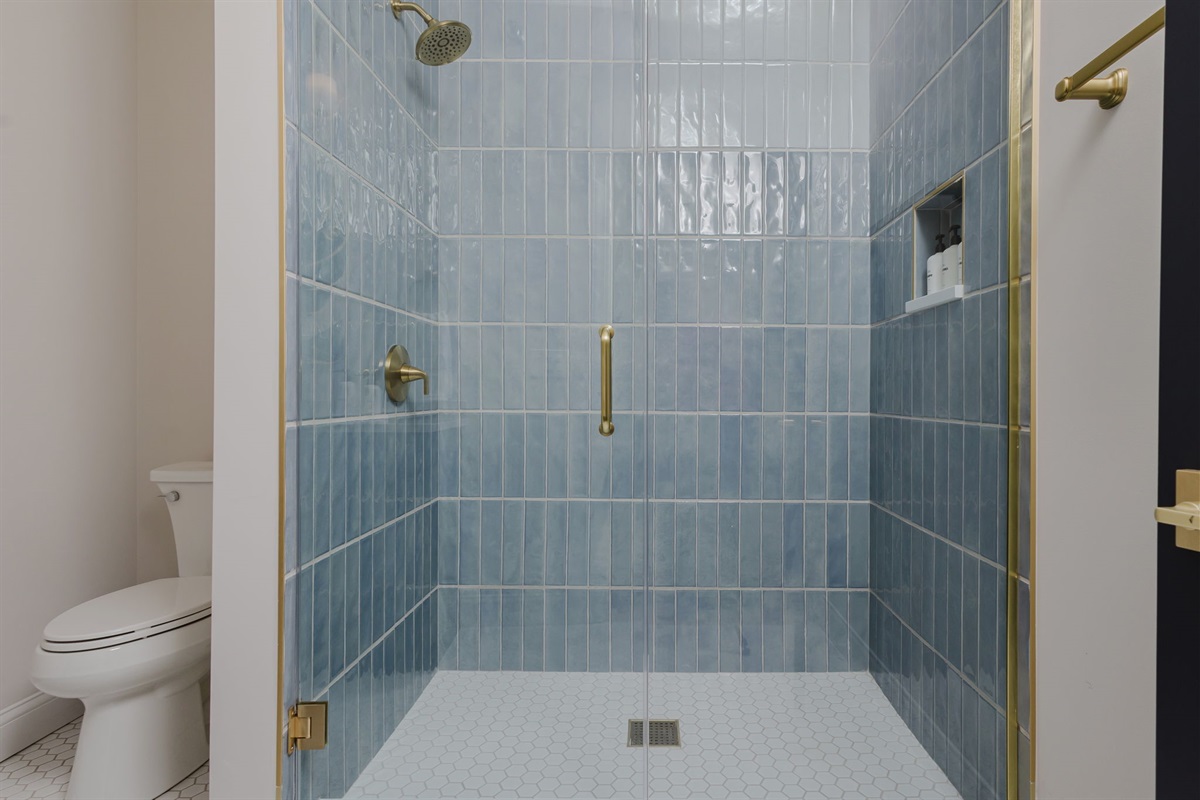 Walk in shower, Public Goods amenities