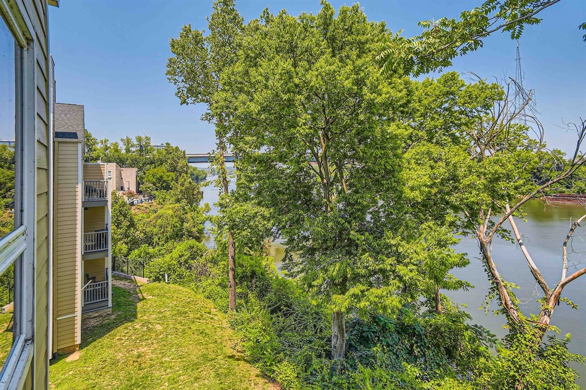 View of nature from your balcony
