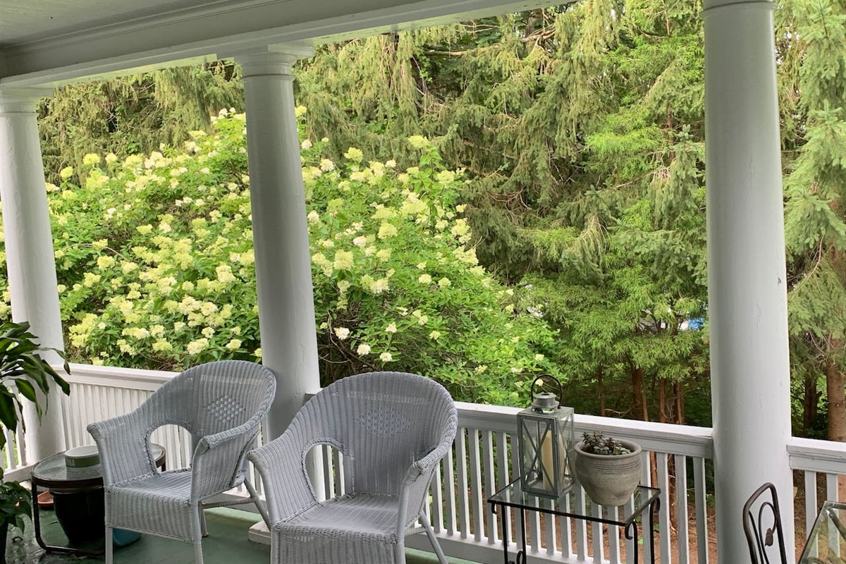View from the porch 