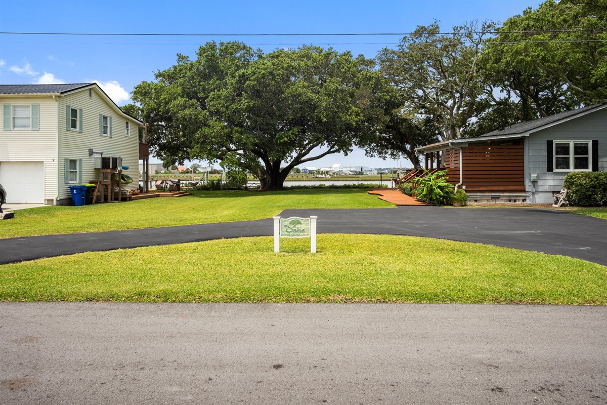 Picturesque Live Oak