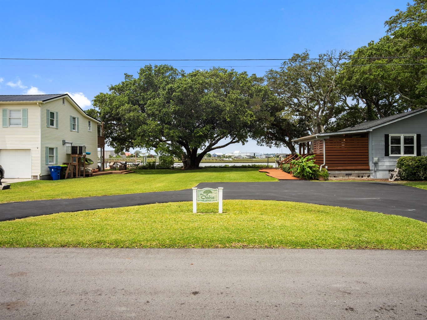 Picturesque Live Oak