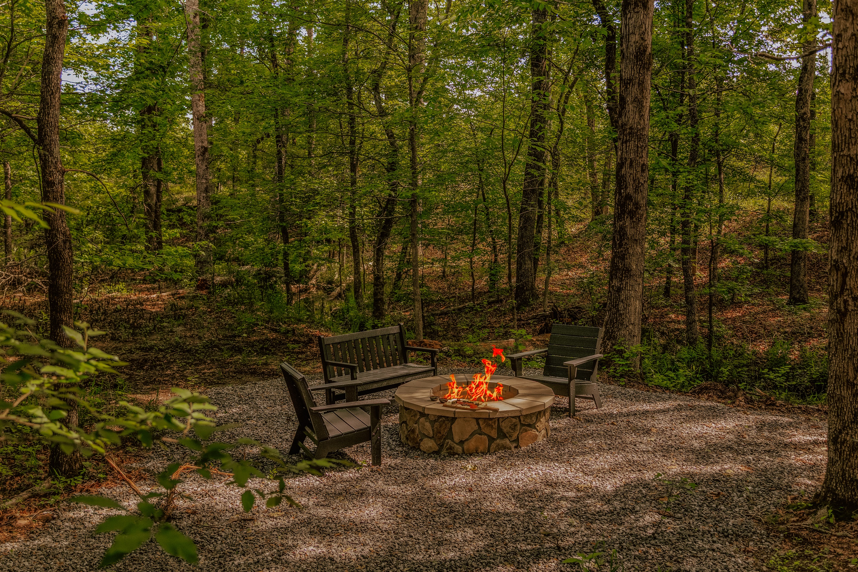 Our new fire pit down by the creek, surrounded by nothing but forest