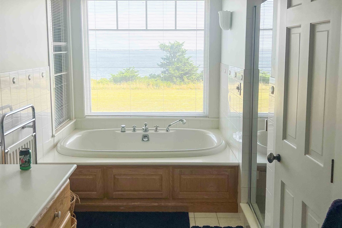 Primary Bath 1
