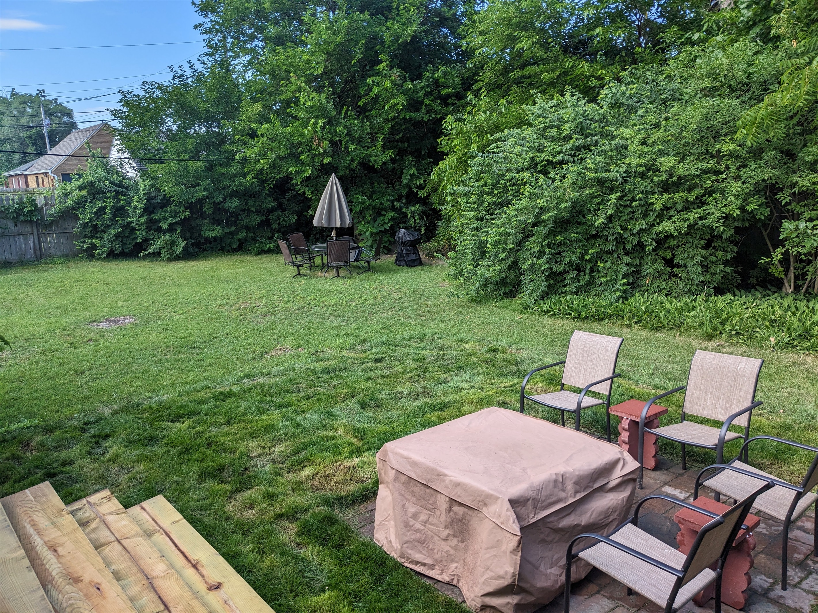 Backyard