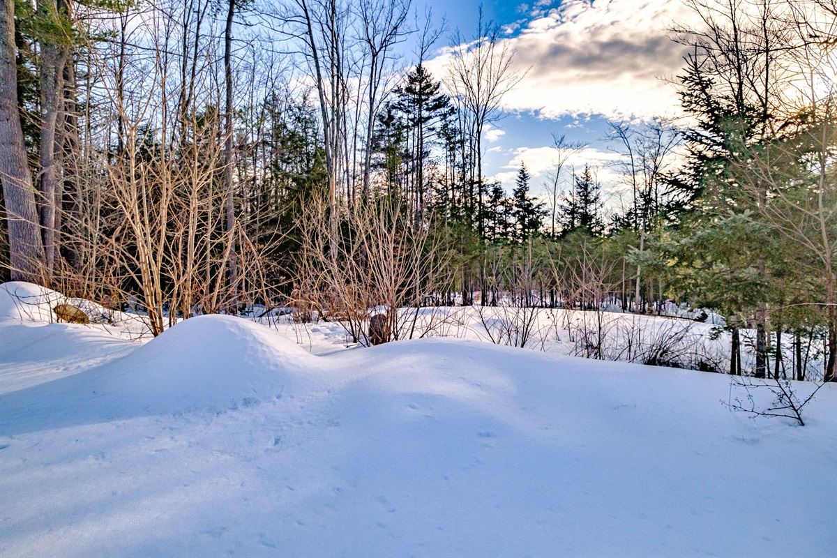 Enjoy the outdoors in this large, tree-lined backyard.