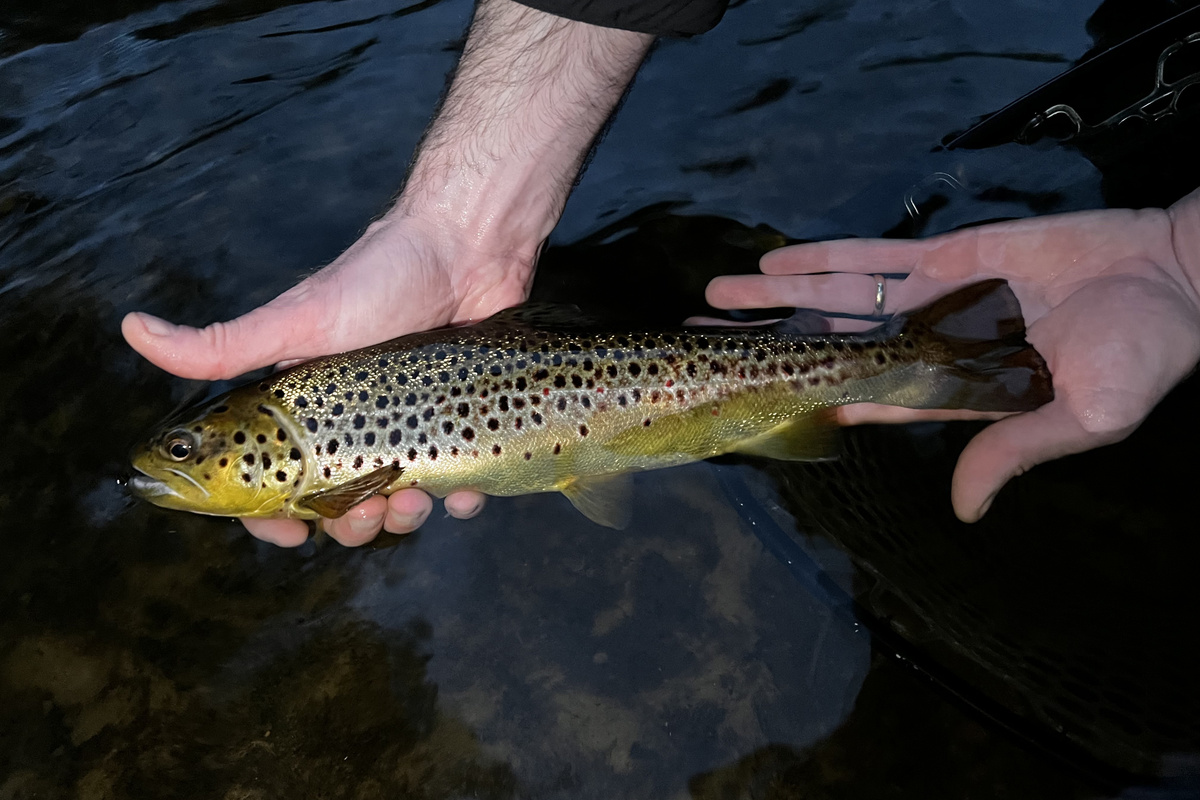 Cast a line in your own private fishing area in Ausable River, part of our property, where beautiful brown trout await.