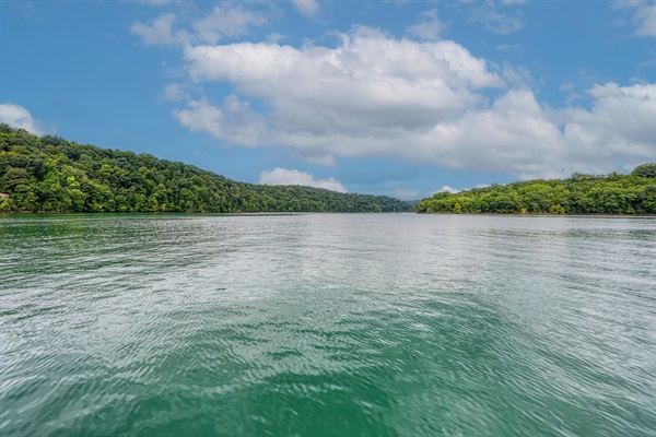 Enjoy Swimming From The Dock!