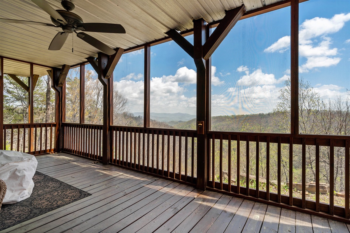 Large screened in porch